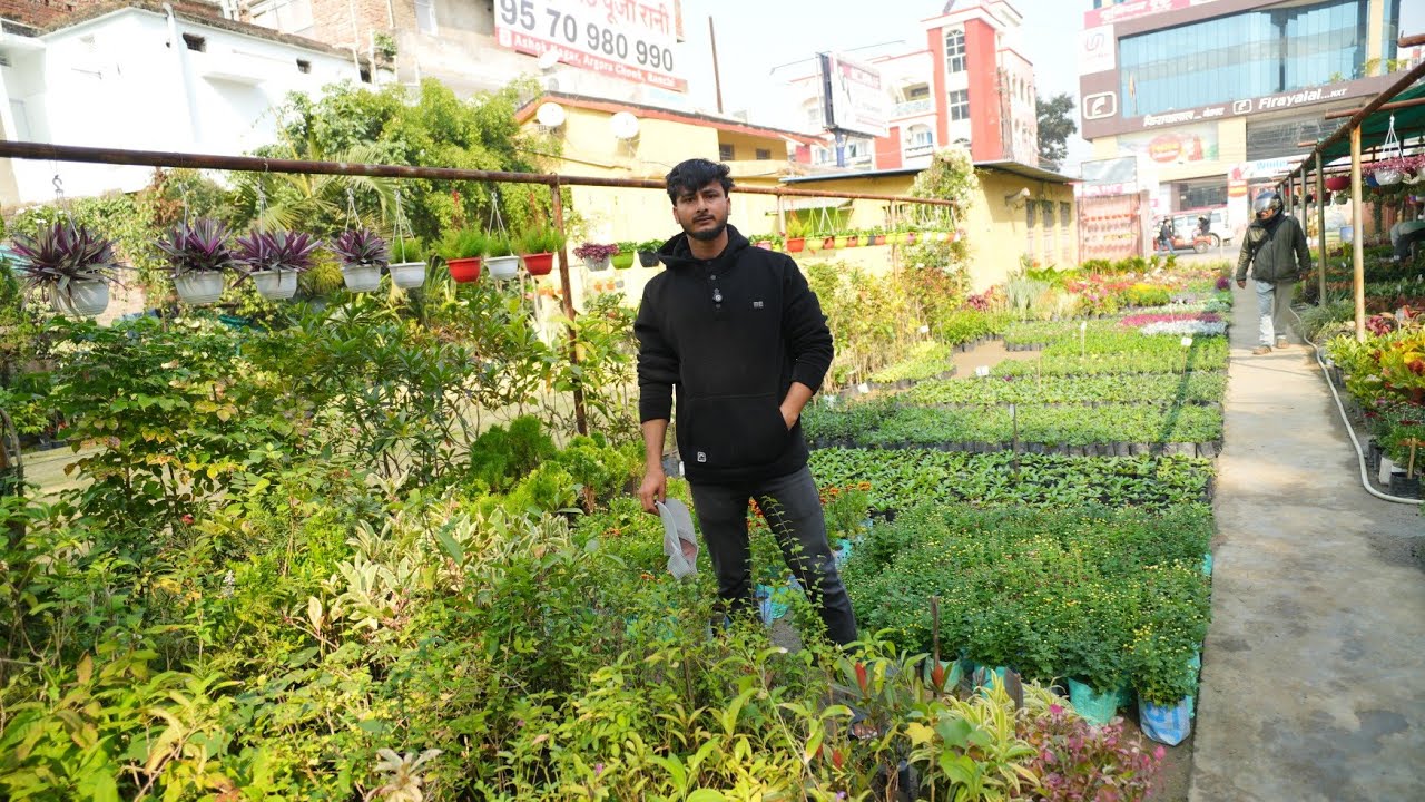 Plants Sariya ke Kaise Rakha jata hai nursery me new plant aane ke liye Kaise Jagah banaya jata hai