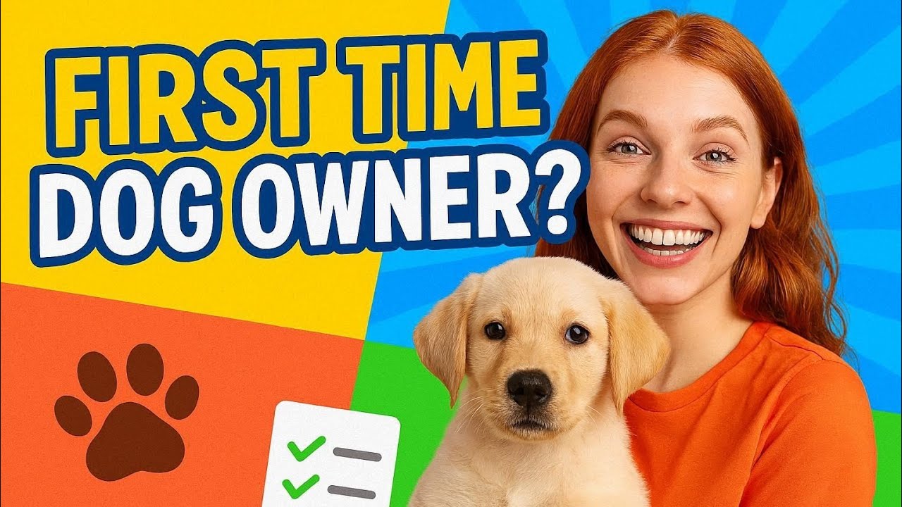 First Time Dog Owner Tips #FirstTimeDogOwner #DogTraining #PuppyCare #DogCare @DaddyTzuAIStudio 