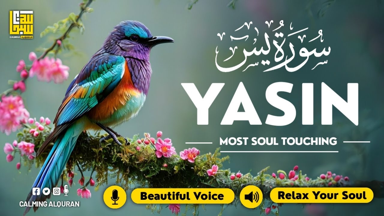 Surat Yasin (Yaseen) سورة يس ✦ Calm and Clear Voice ✦ Islamic Sleep Healing