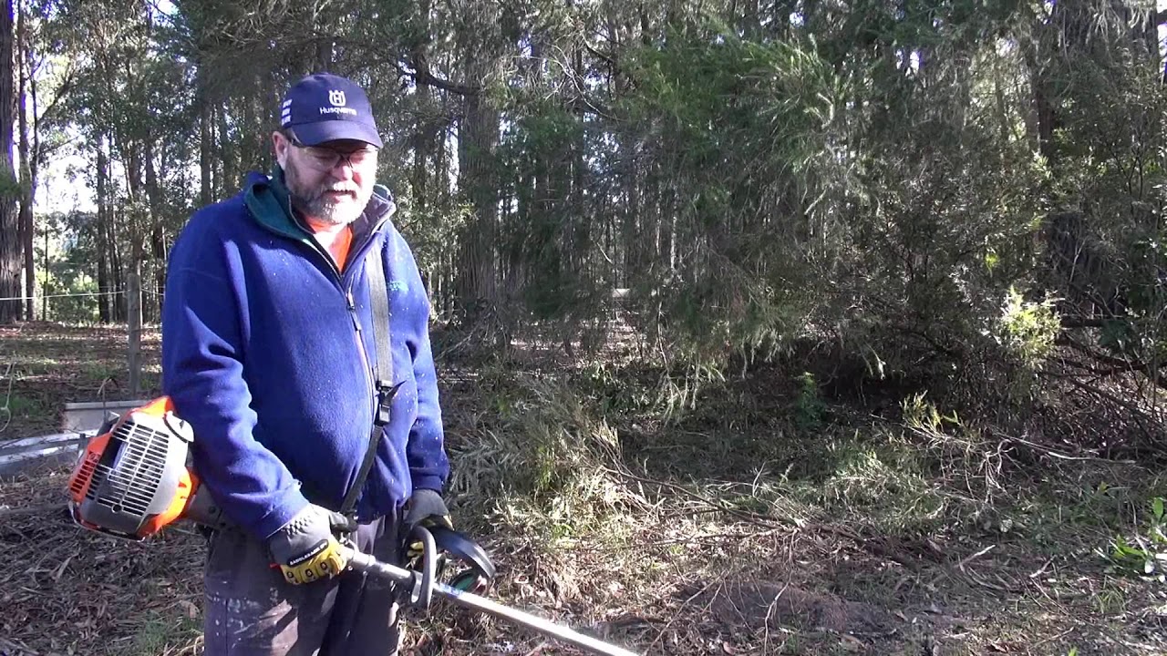 Brushdestructor First Use and Baumr-AG Pole Chainsaw Tip