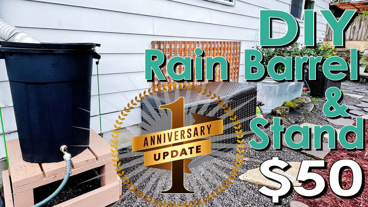 One Year Update: DIY Rain Barrel & Stand $50 🛠💦🏡
