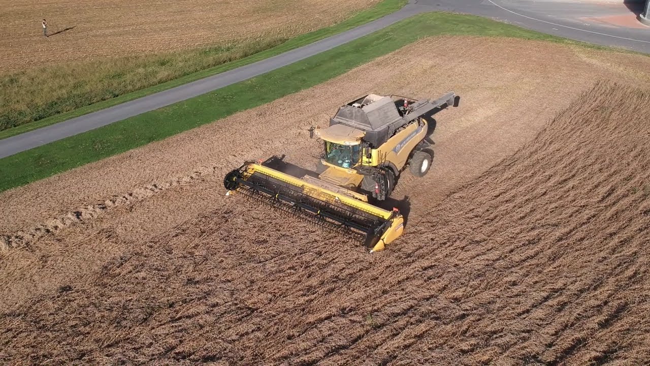 Soybean Harvest Begins