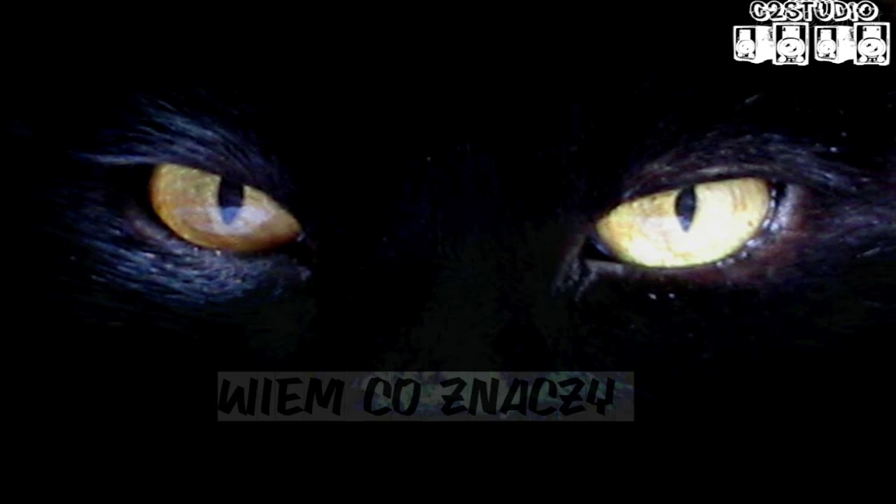 Woło - Wiem co znaczy