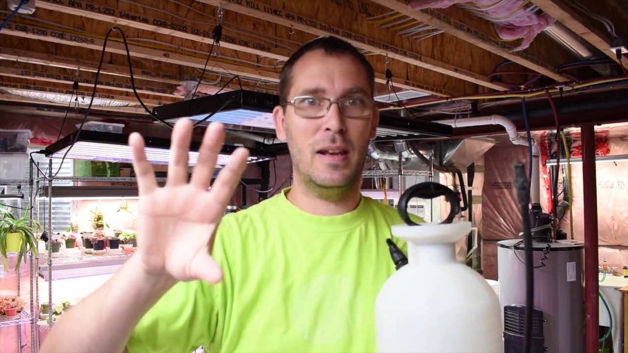 Homemade Insecticidal Soap
