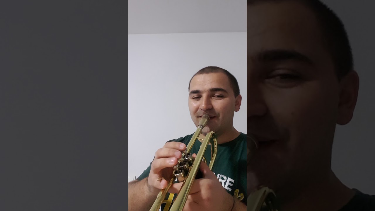 Tutorial Sârba lui Costel Vasilescu. Orchestra Mugurel Chișinău.