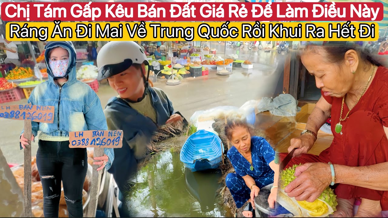 #140🇻🇳🇨🇳Chị Tám Bán Đất Thổ Cư Đầy Đủ Giá 220tr .Gói Bánh Xong Chùi Cái Nồi Cũng Để Bà Già Làm