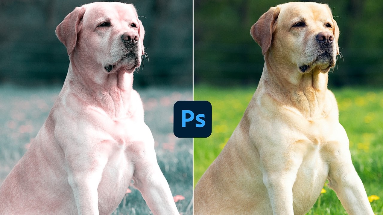 មូលដ្ឋានគ្រឹះ Adjustment Layers សម្រាប់អ្នកទើបរៀន Photoshop ដំបូង