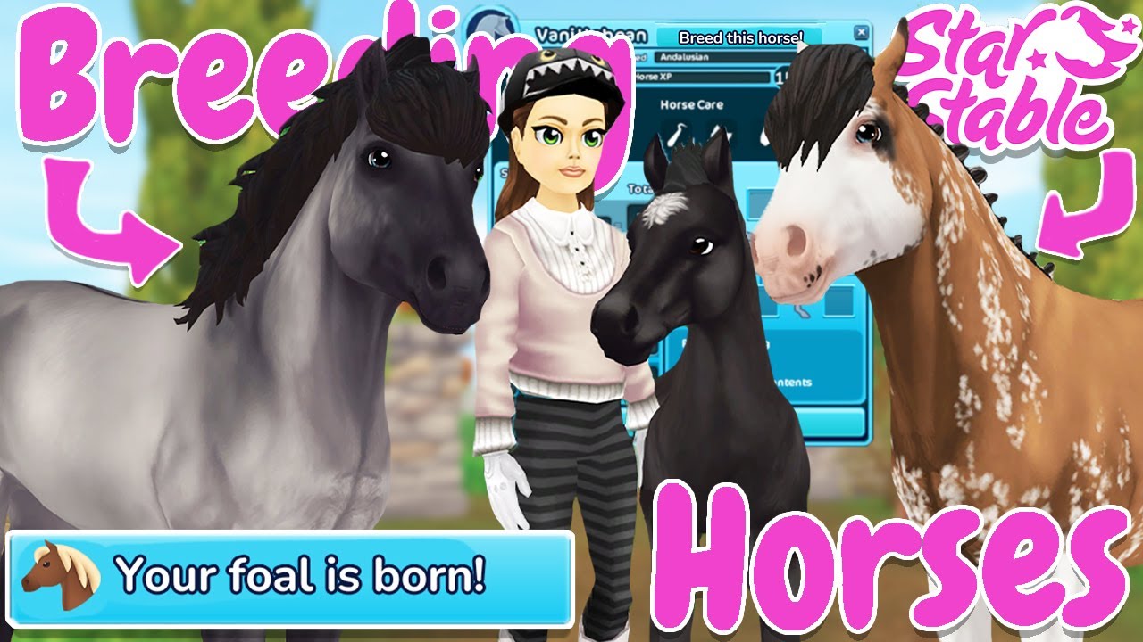 BREEDING Horses In Star Stable! 🐴