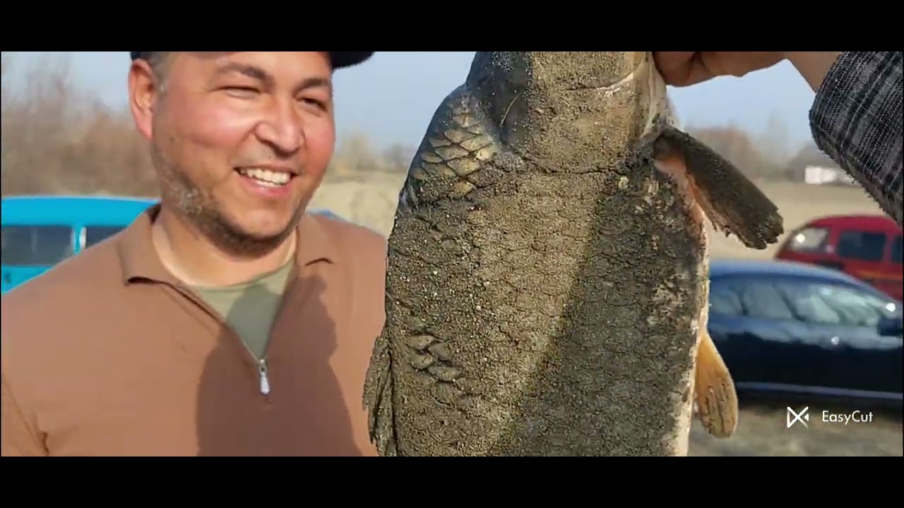 Begun 16 feral Sazanlarni Opoqisini tutdik! #SAZAN #Fishing