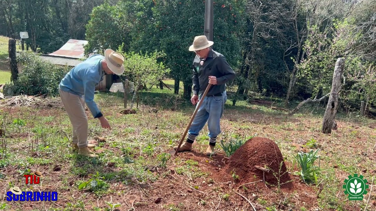 Quem Tem Mais Preguiça?