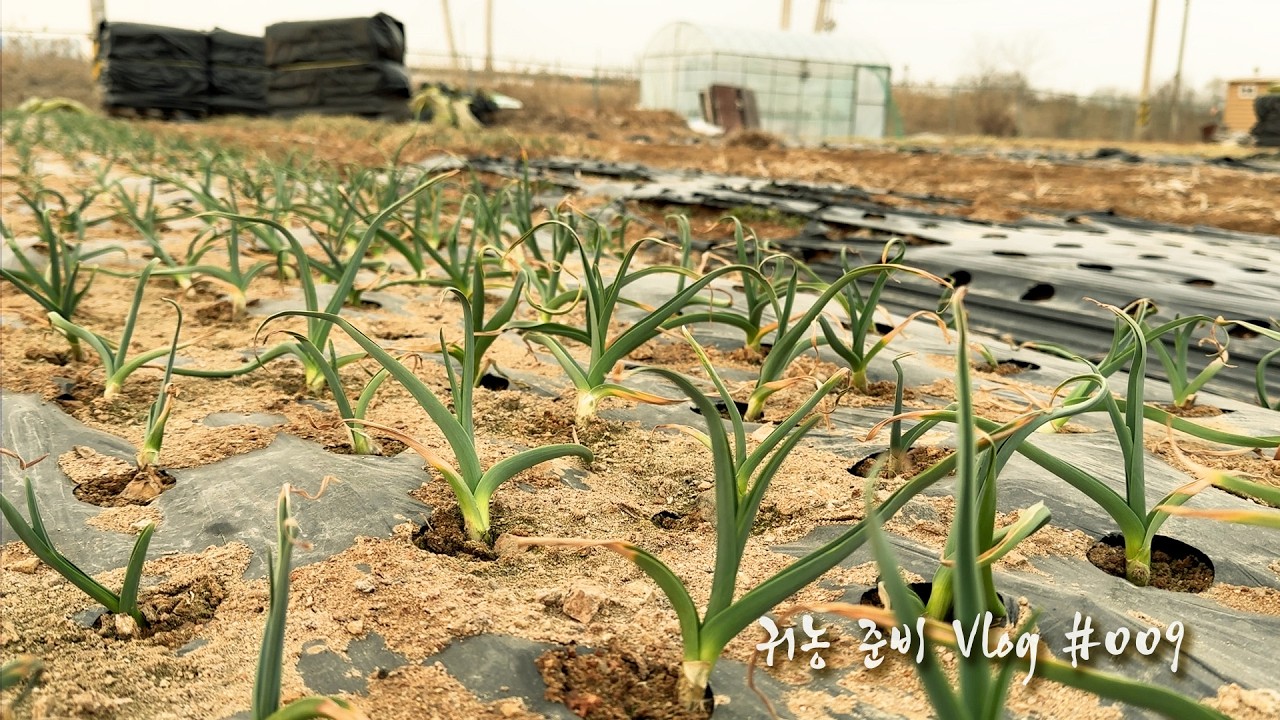귀농 준비 Vlog - 2028년 귀농 정착 성공을 위해 하나하나 배워나가는 중!! #farming #garden #시골살이브이로그 #체험농장 #치유농장조성중 #힐링 #베리의정원