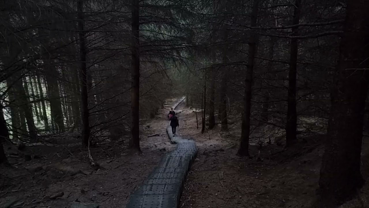 Wicklow Mountains National Park