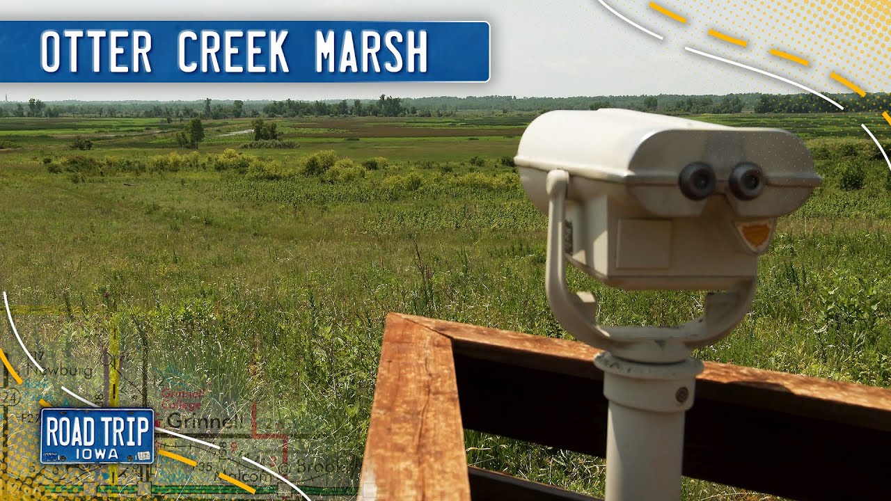 Otter Creek Marsh