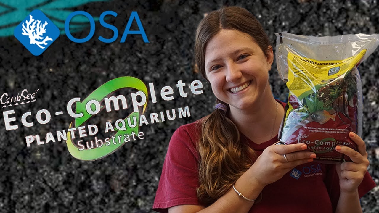 Eco Complete — ЛУЧШИЙ растительный субстрат?