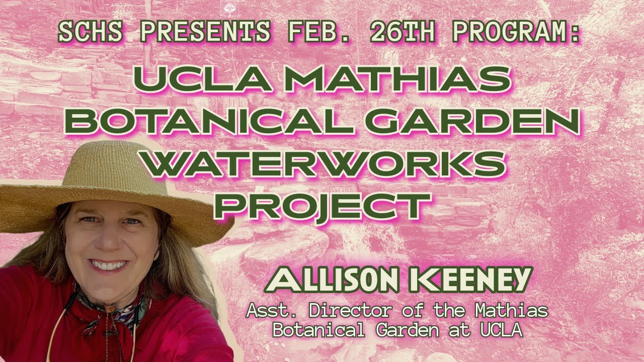 UCLA Mildred E Mathias Botanical Garden Waterworks Project w Asst. Director Allison Keeney -Feb 2025