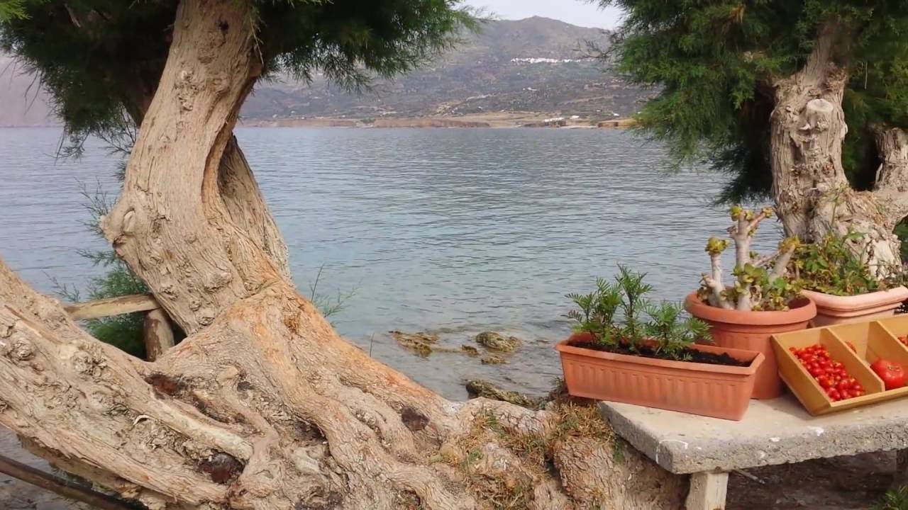 Mochlos Paradise Crete June 2016.