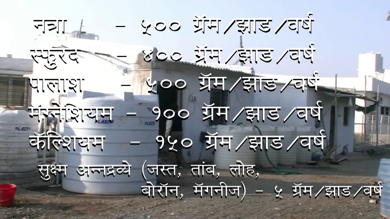 Success Story of Nagpur Mandarin Cultivation In Vidharba