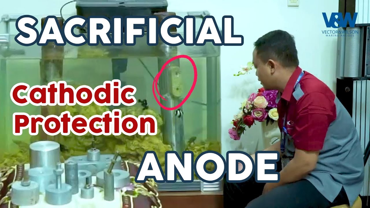 Sacrificial Anode Cathodic Protection Allied Corrosion || Galvanic Anode