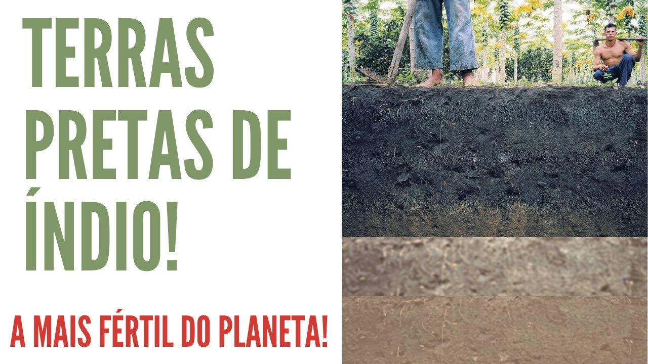 É Póssível Ter Esse Tesouro Milenar no seu Quintal!