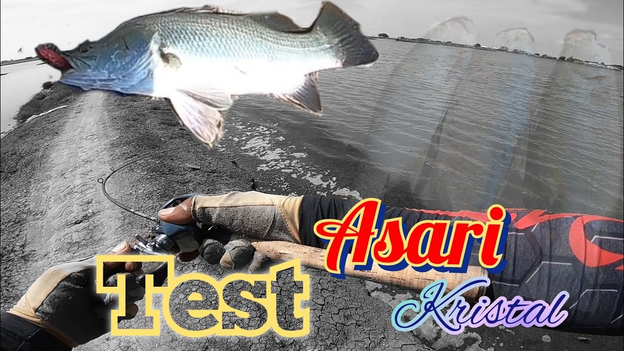 Test lure ASARI KRISTAL pencil sinking..Sempat nyajen tapi endingnya TERBUKTI..!!