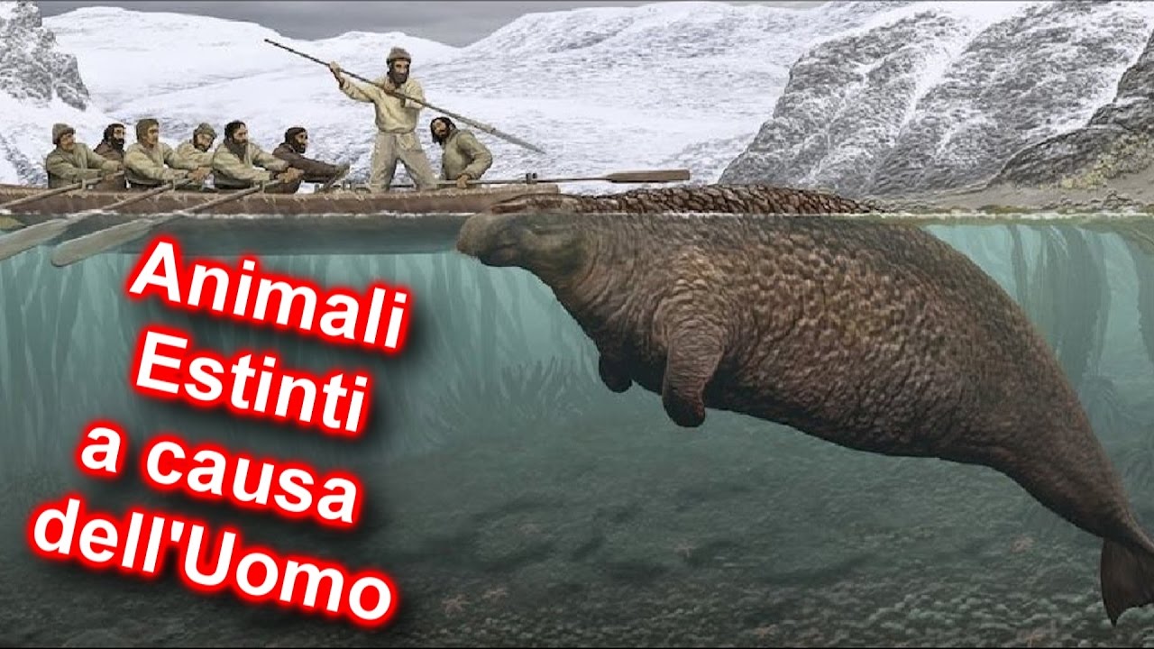 10 Magnifiche Creature Scomparse a Causa dell' UOMO