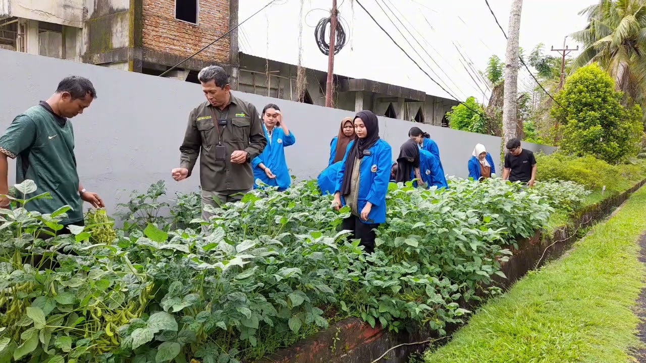MEMETIK EDAMAME HASIL INOVASI, SIAP MENYAJIKAN CITA RASA SEHAT DI TAMAN BSIP MALUKU
