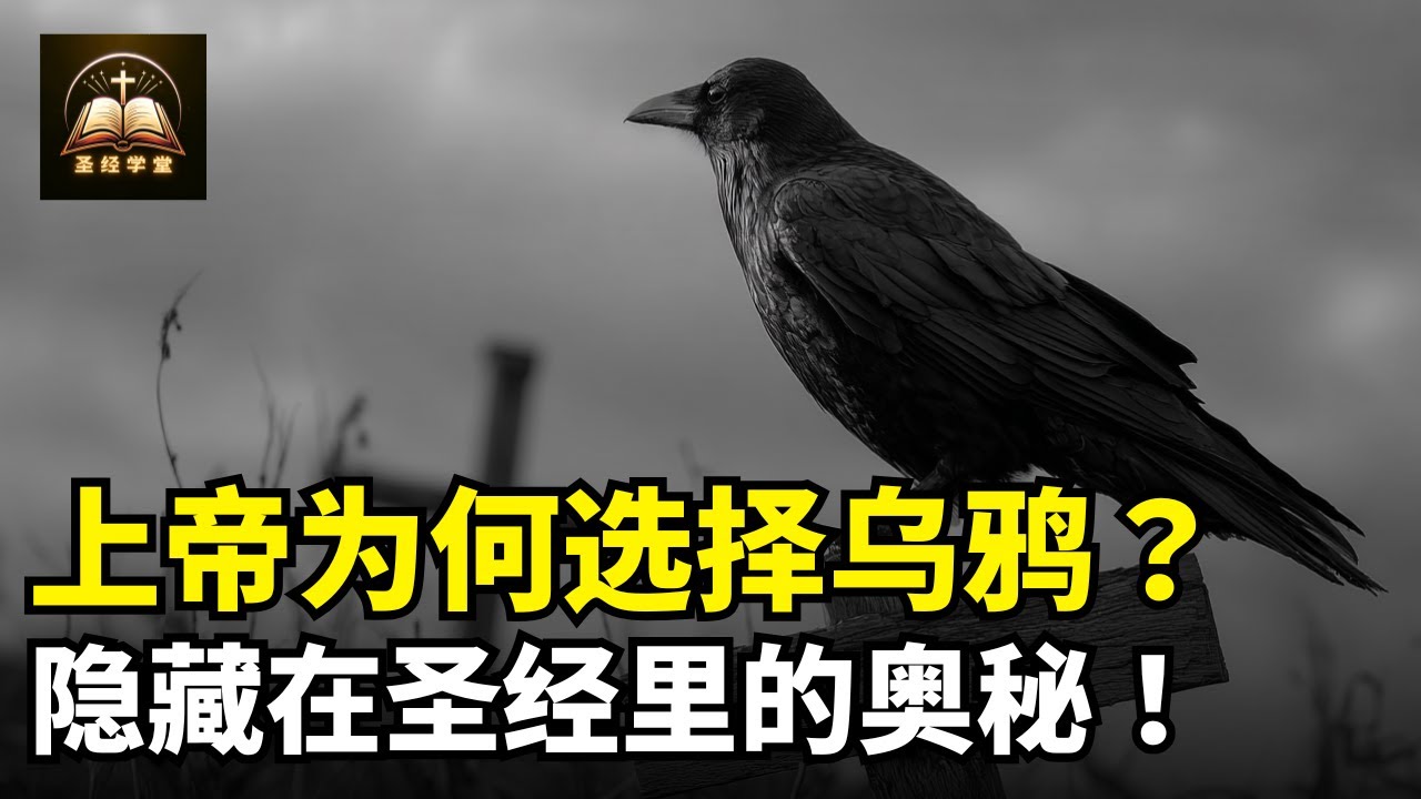上帝为何选择乌鸦？隐藏在圣经里的奥秘！