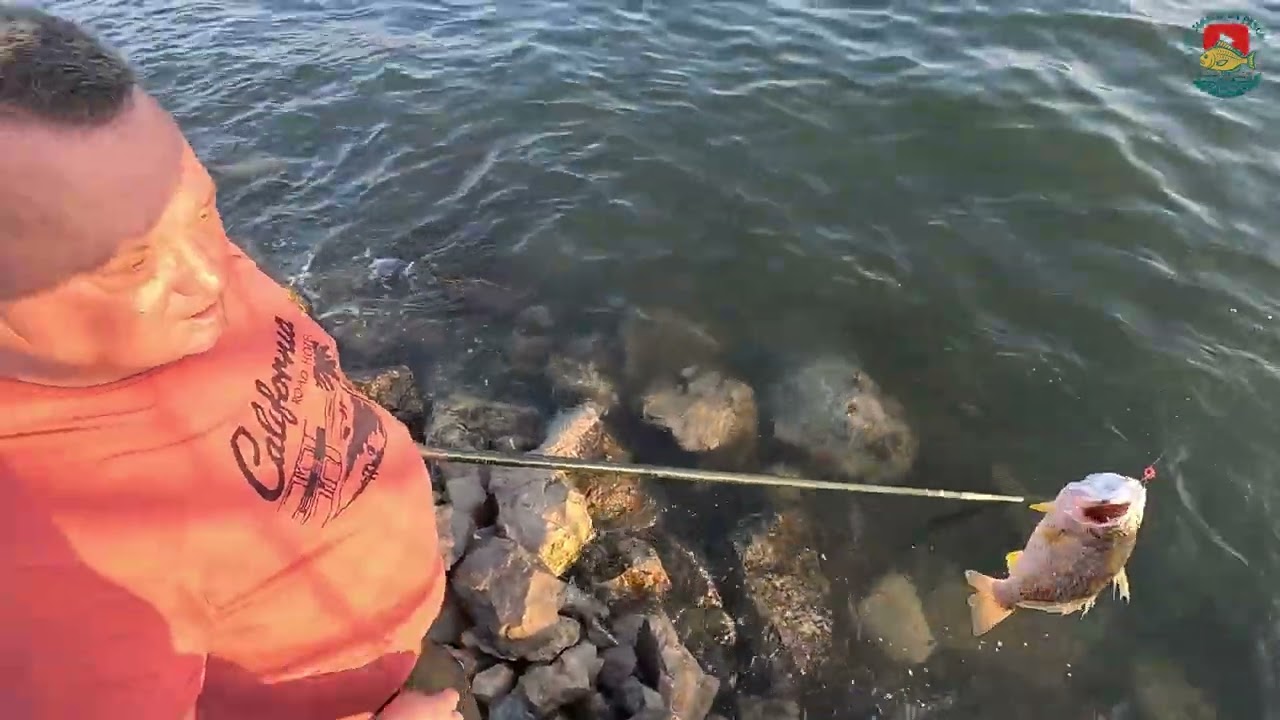 Pesca em Setubal vieram Dois Peixes no mesmo Anzol