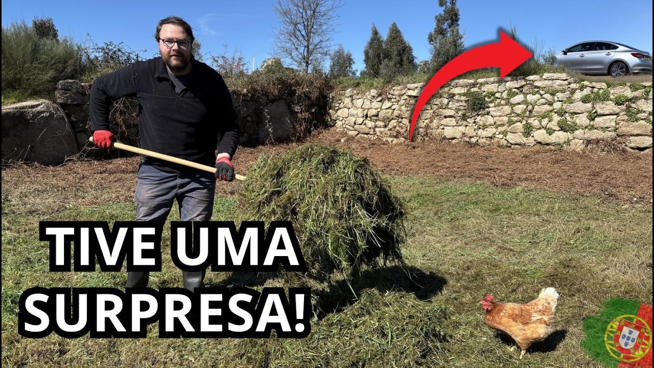 NÃO ESPERAVA NINGUÉM HOJE: A VISITA SURPRESA QUE ME AJUDOU NA ROÇA!