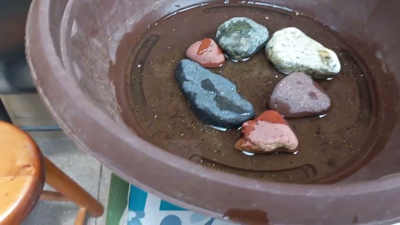 Enmiendas, Trichodermas y Streptomyces en Suelos
