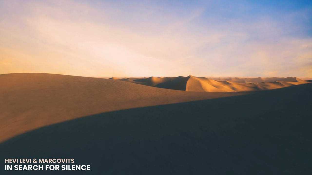 HEVI LEVI & Marcovits - In Search For Silence