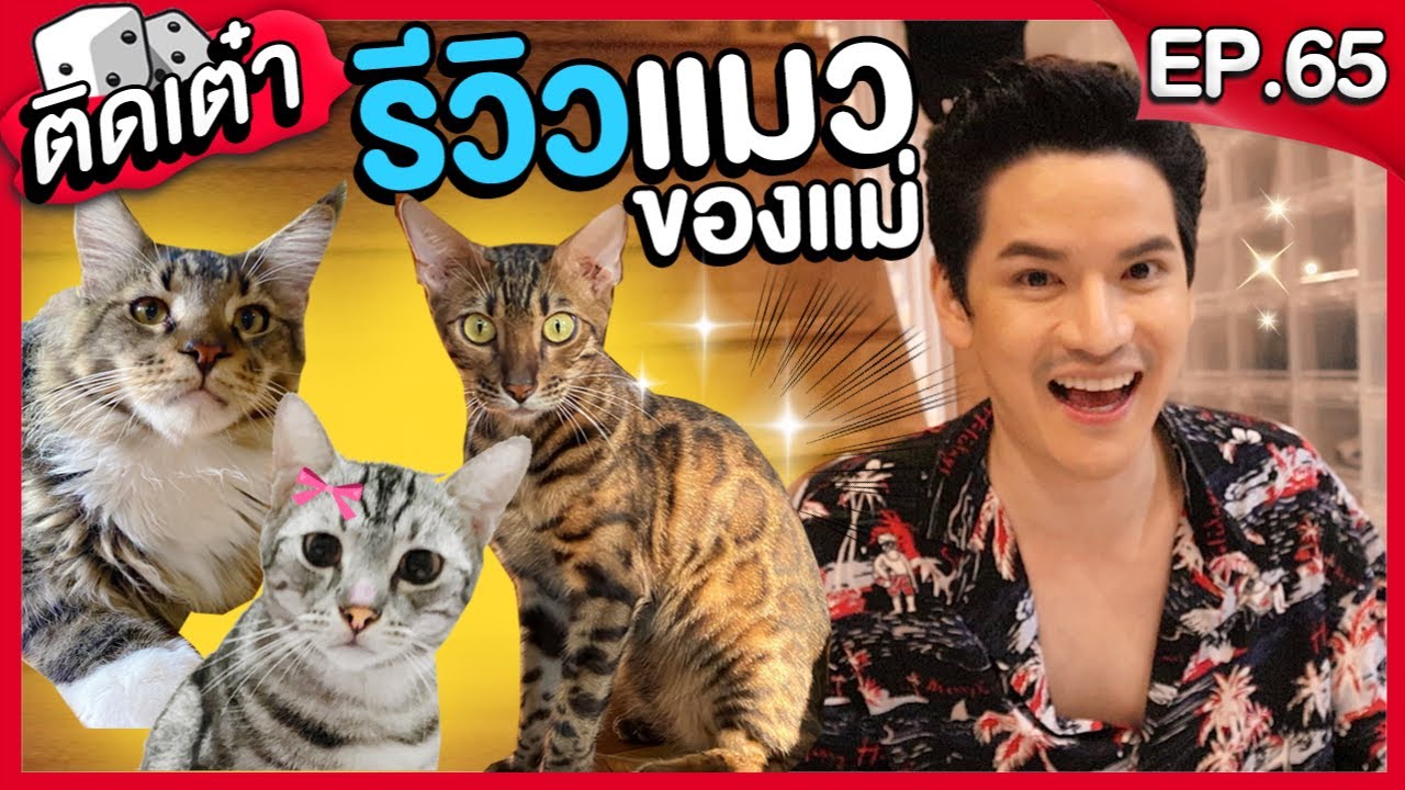 ติดเต๋า EP.65 | เปิดบ้านแม่!! โชว์แมว 3 สายพันธุ์ !!