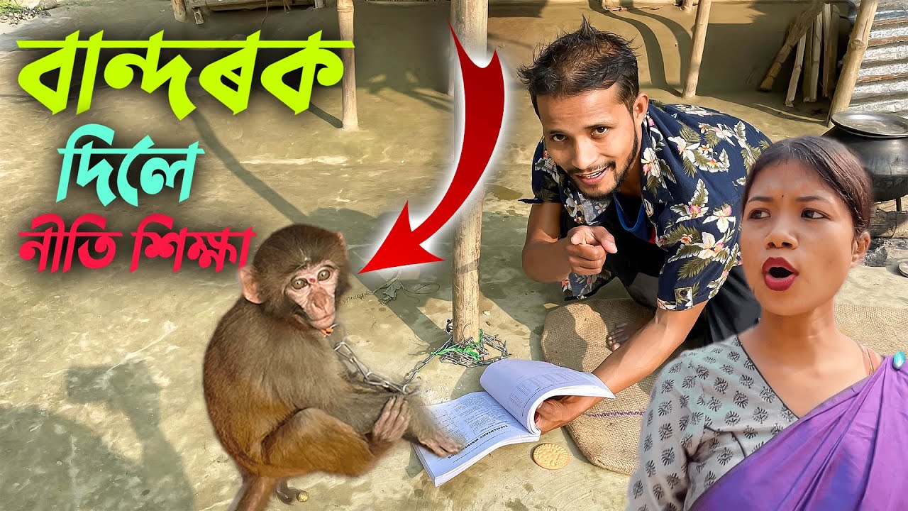 BANDOR // Assamese New Video 2023//khitei kai funny video