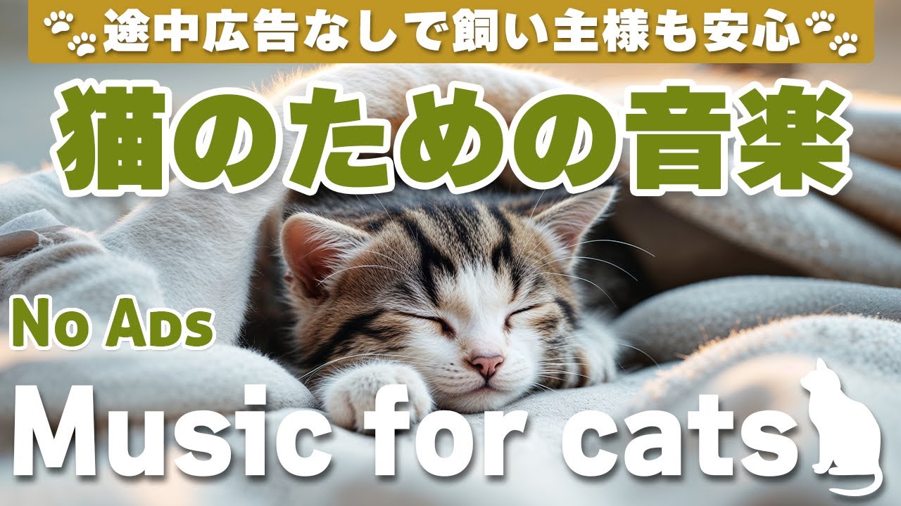 猫が落ち着く音楽 (12時間途中広告なし) /猫をリラックスさせるピアノ音楽 / No Ads/12 hours/piano/Relaxing music for cats_vol.312