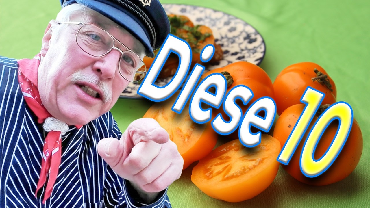 „10 Tomatentipps: Meine besten Raritäten & samenfeste Schätze für den Garten“
