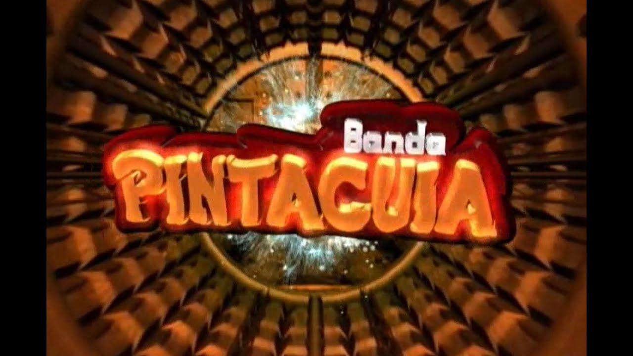 DVD Banda Pinta Cuia 15 Anos