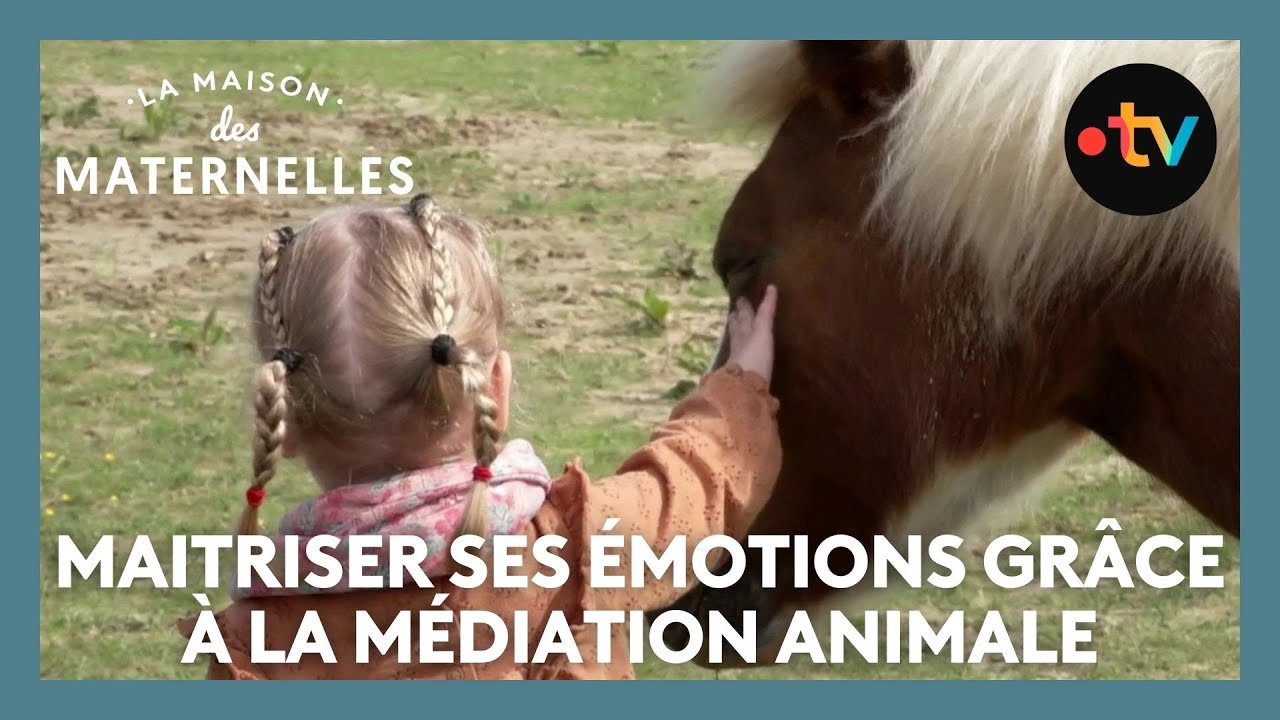Maitriser ses émotions grâce à la médiation animale - La Maison des maternelles #LMDM