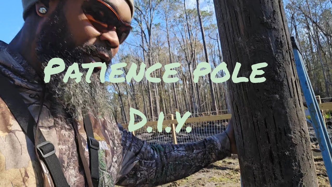 Patience Pole  D.I.Y.  Knox is going to love it.