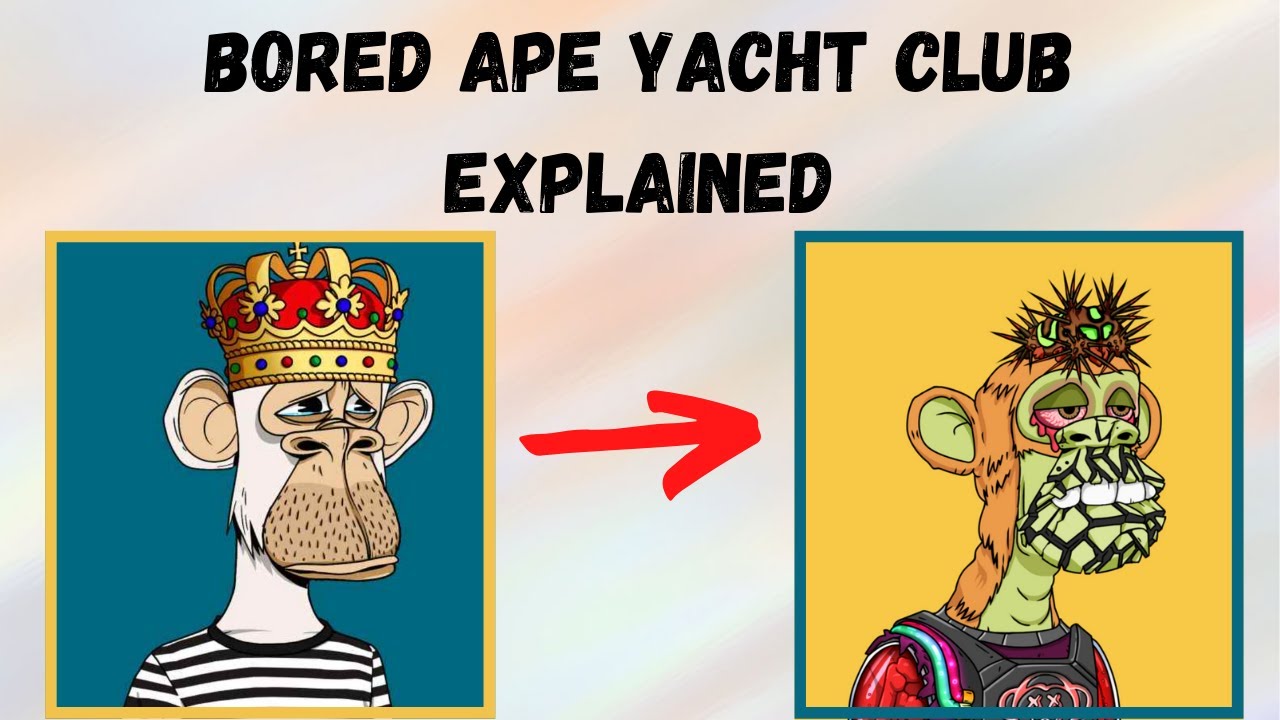 What is Bored Ape Yacht Club? BAYC explained for beginners