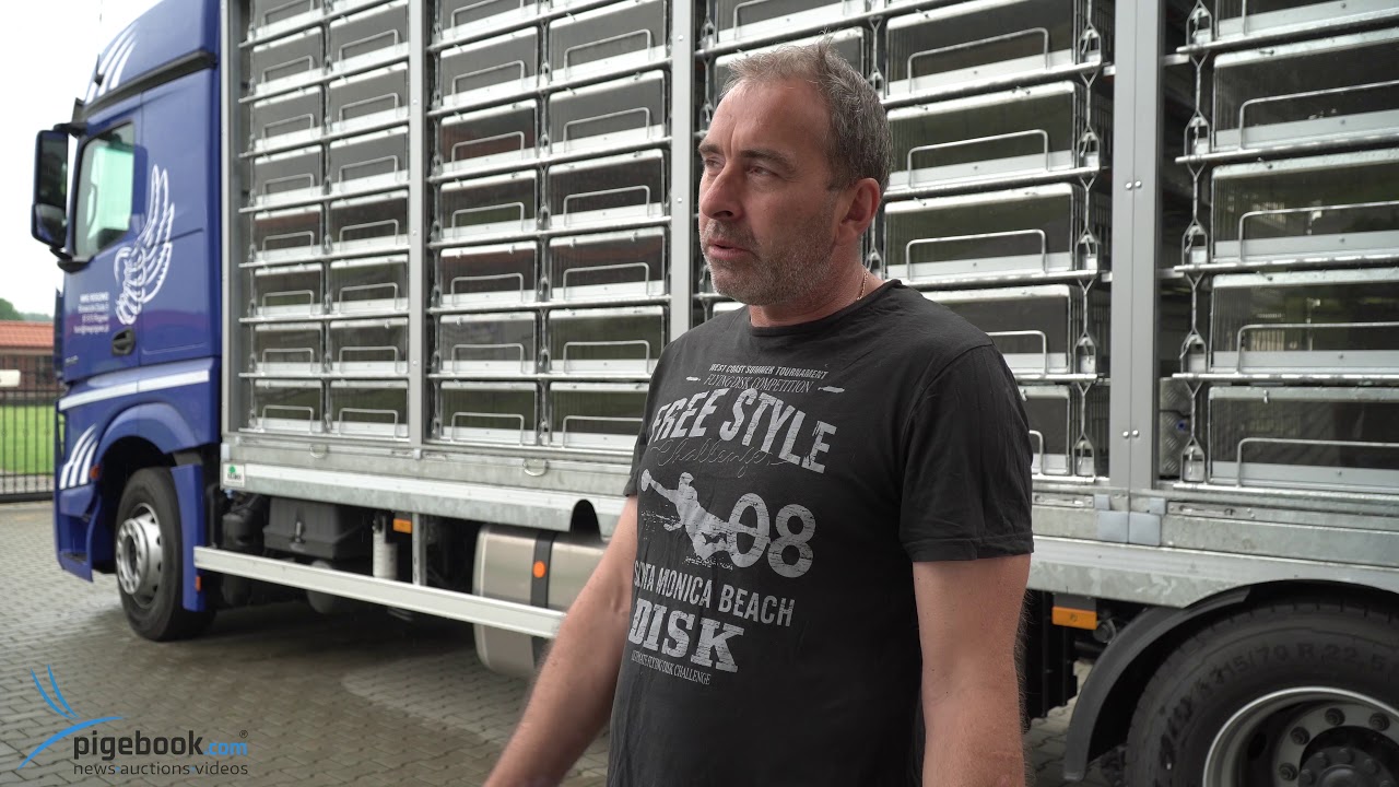 MIĘDZYNARODOWY WSPÓLNY GOŁĘBNIK ROGOWO - 