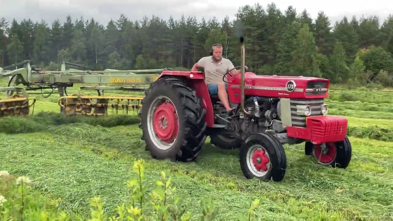 MF 175 Turbo & @elhofinland  ELHO V-Twin 750 -  Rehun Karhotusta/Raking Silage 2024