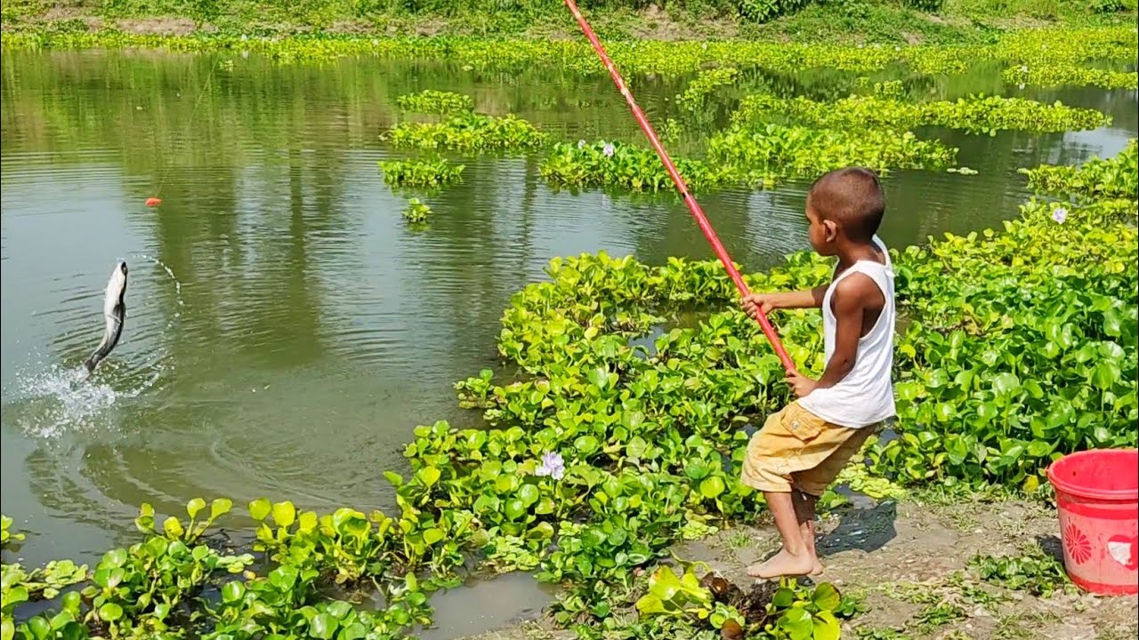 Unbelievable Kids Catching Fish | Kids Fisherman Bamboo Hook Fishing Catching Fish | Bamboo Hooks