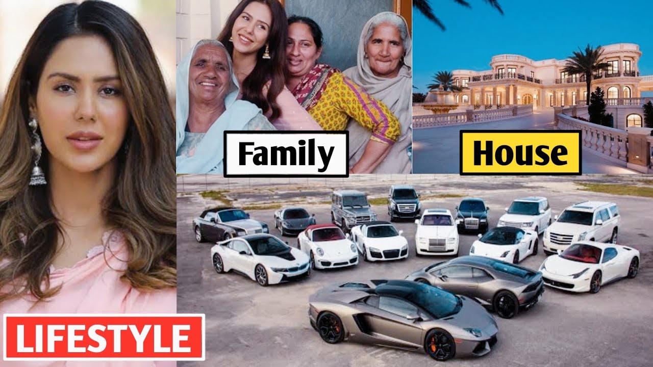 Sonam Bajwa Lifestyle 2023, Age, Income, Family, Biography, G.T. Films