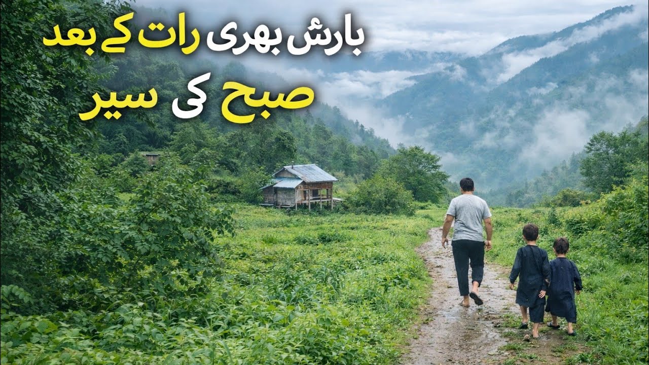 Early Morning Walk in My Village Kashmir with Nephews | After a Rainy Night 7 February 2026