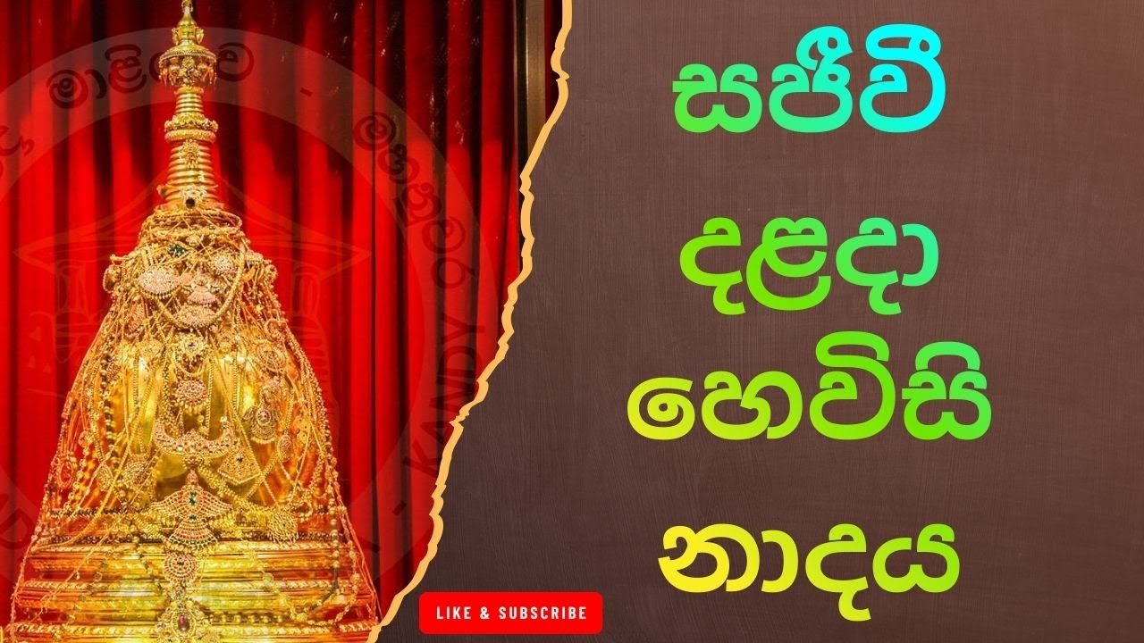 දළදා මාලිගාවේ උදෑසන හෙවිසි නාදය – Peaceful Buddhist Drums /දළදා පූජාවට පෙර හෙවිසි නාදය