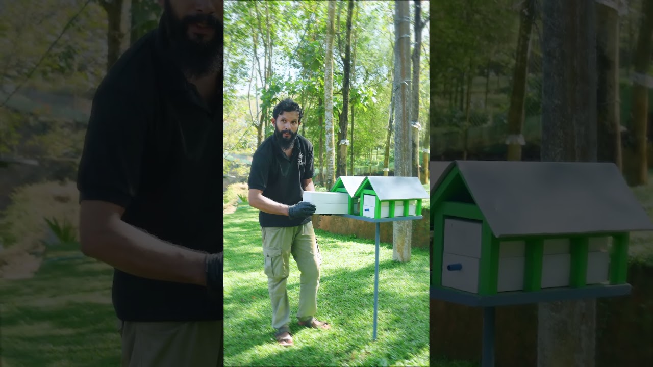 Beekeeping Workshop | Stingless Bee Box Setup | Biju Thadathil Farm