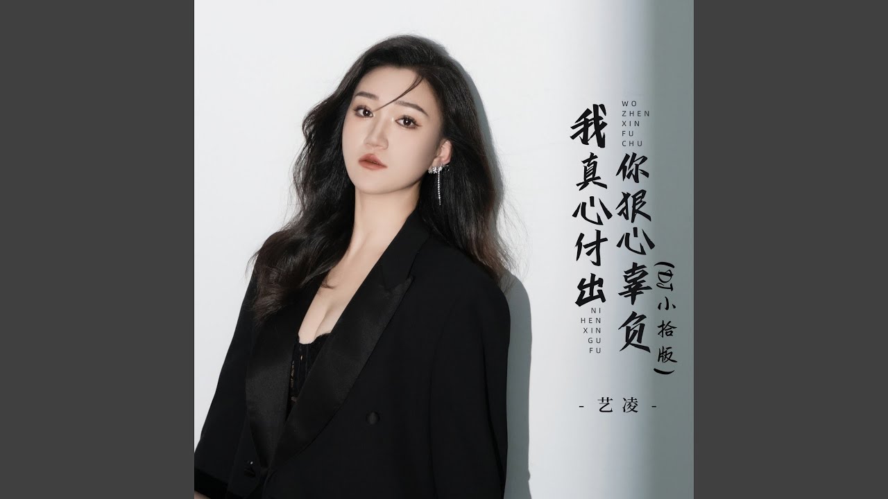 我真心付出你狠心辜负 (Dj小拾版)