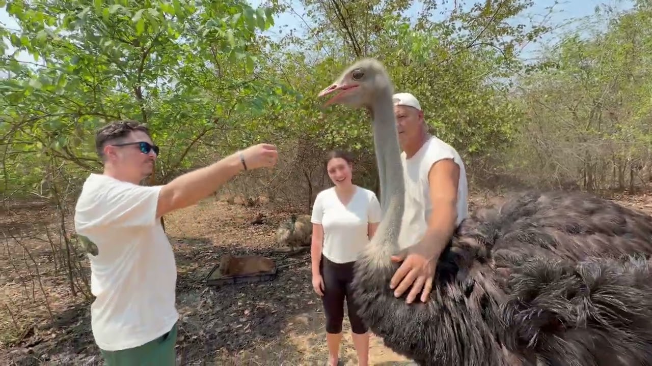 Visita en el santuario (parte1)