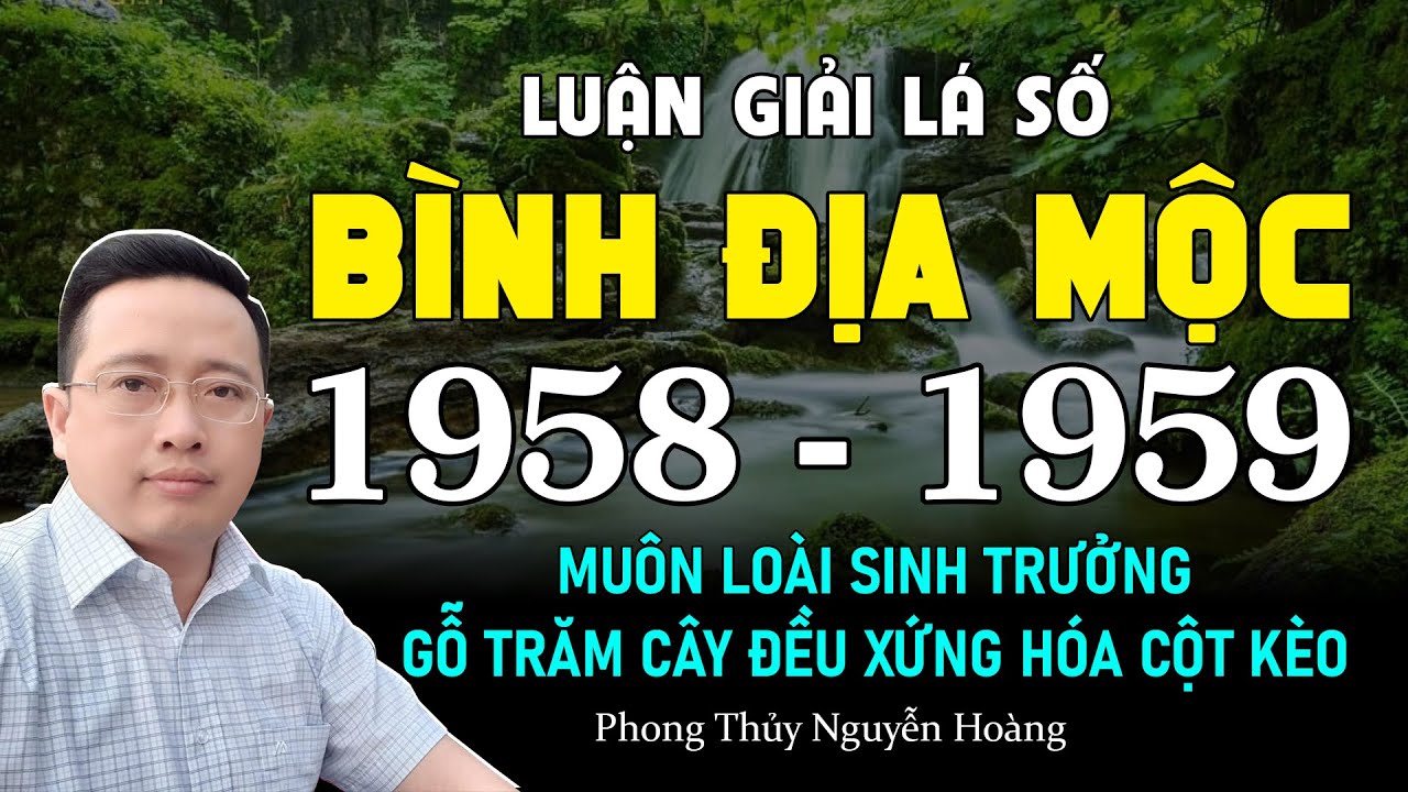 Luận về Mậu Tuất 1958 và Kỷ Hợi 1959 – Bình Địa Mộc muôn loài sinh trưởng, gỗ trăm cây đều xứng hóa