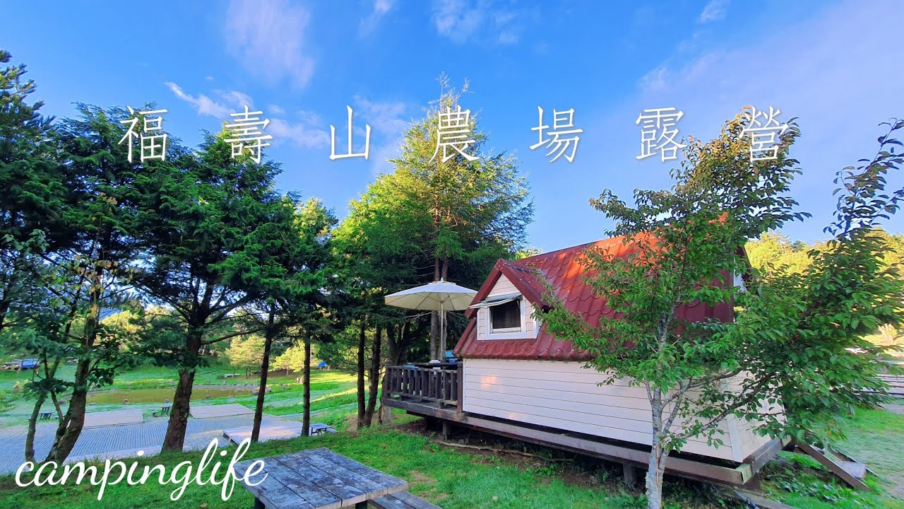 全台最高又最冷！正對湖景景觀陽台露營屋！最新營位介紹！台8線、台14甲線路況｜梨山｜天池｜松廬｜鴛鴦湖｜福壽山農場楓葉紅了！一天一露第三站｜LV第58露｜露營vlog｜福壽山農場露營